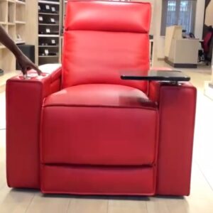 Palister Luxury Cinema Recliner Chair